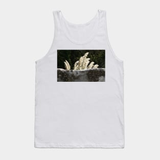 Flowering Pampas Grass Plumes Garden Wall Tank Top